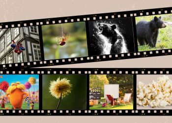 Nature of film Fall 